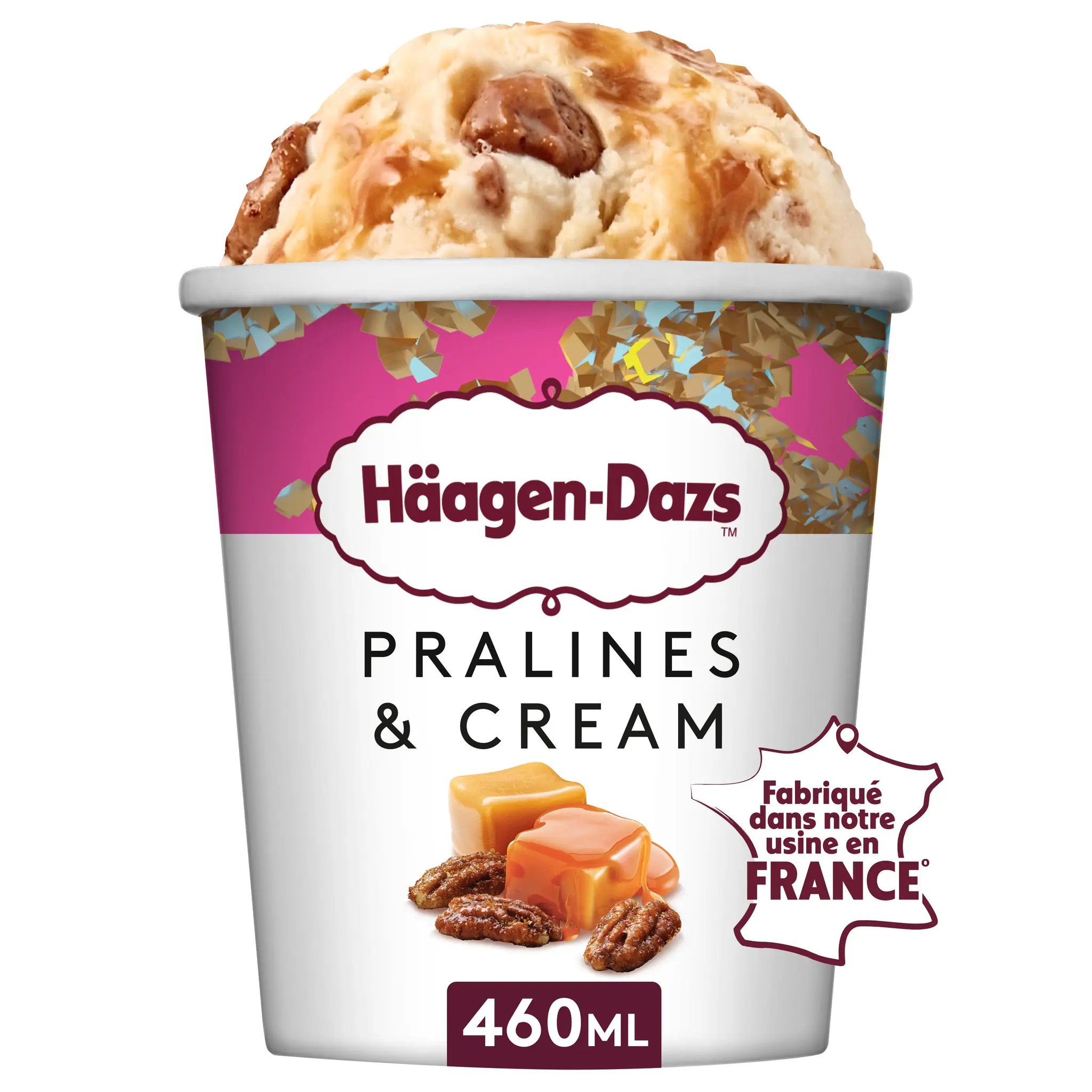 HAAGEN DAZS Pot de crème glacée pralines