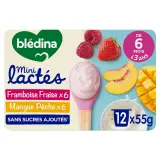 BLEDINA Dessert lactés bébé fraise framboise mangue pêche dès 6 mois