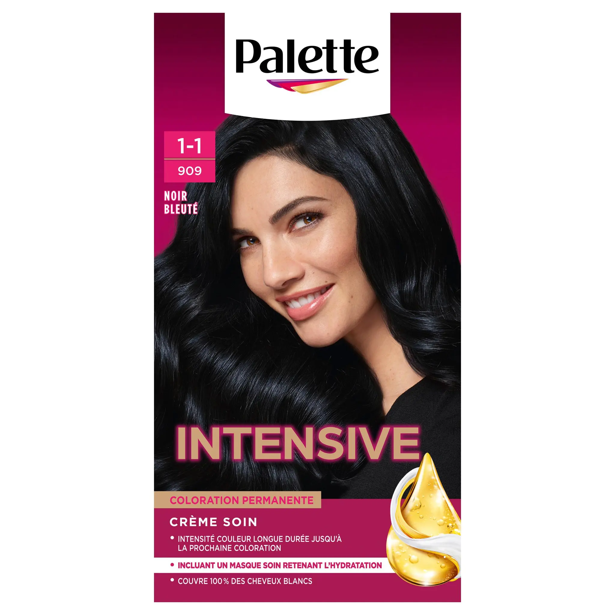 PALETTE Coloration permanente 909 noir bleuté