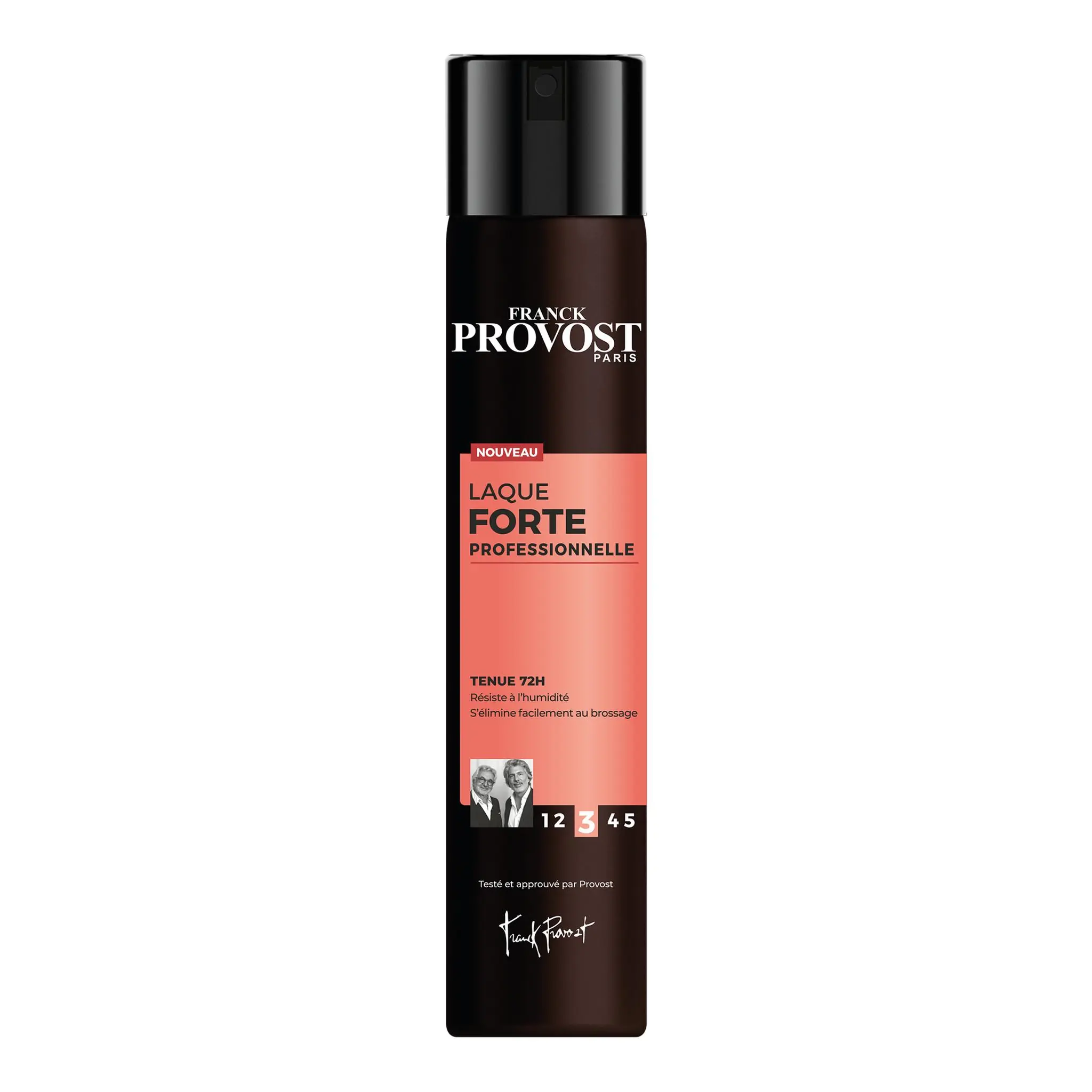 FRANCK PROVOST Laque fixation forte tenue 72h