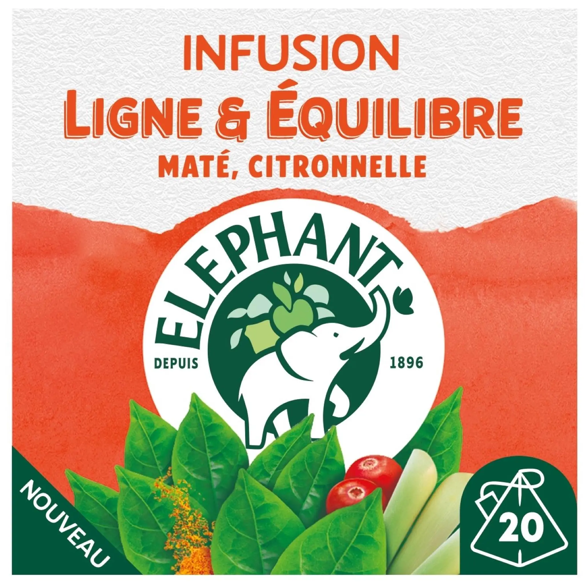 ELEPHANT Infusions de thé saveur maté citronnelle et curcuma