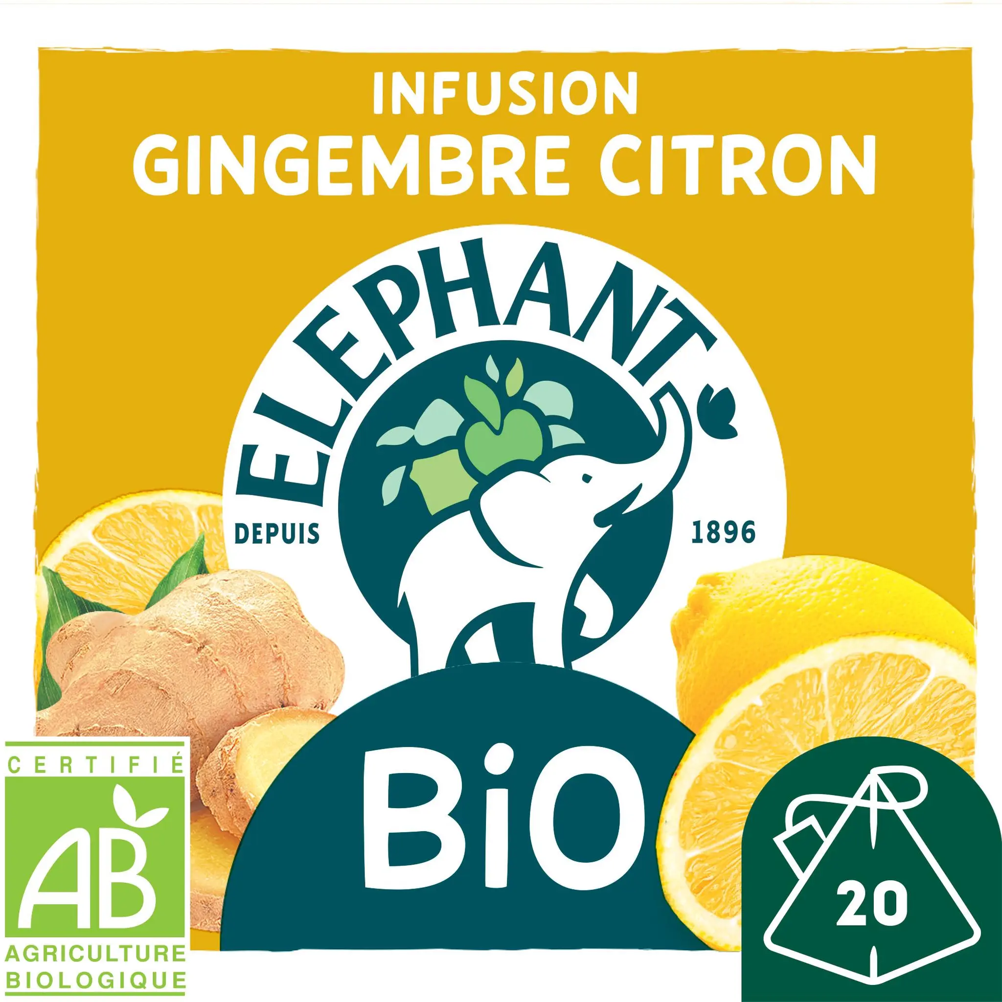 ELEPHANT Infusion bio au gingembre et citron
