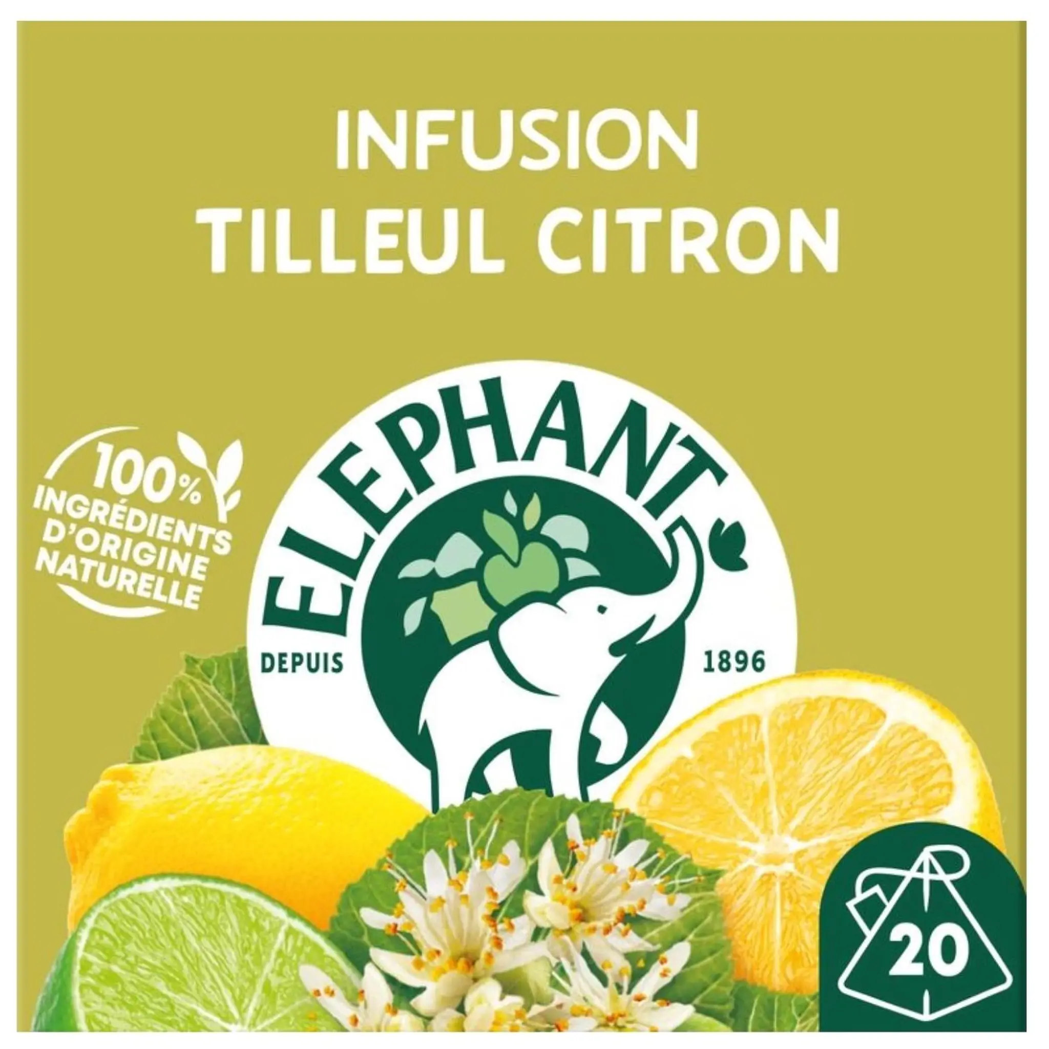 ELEPHANT Infusion Tilleul Citron note de citron vert