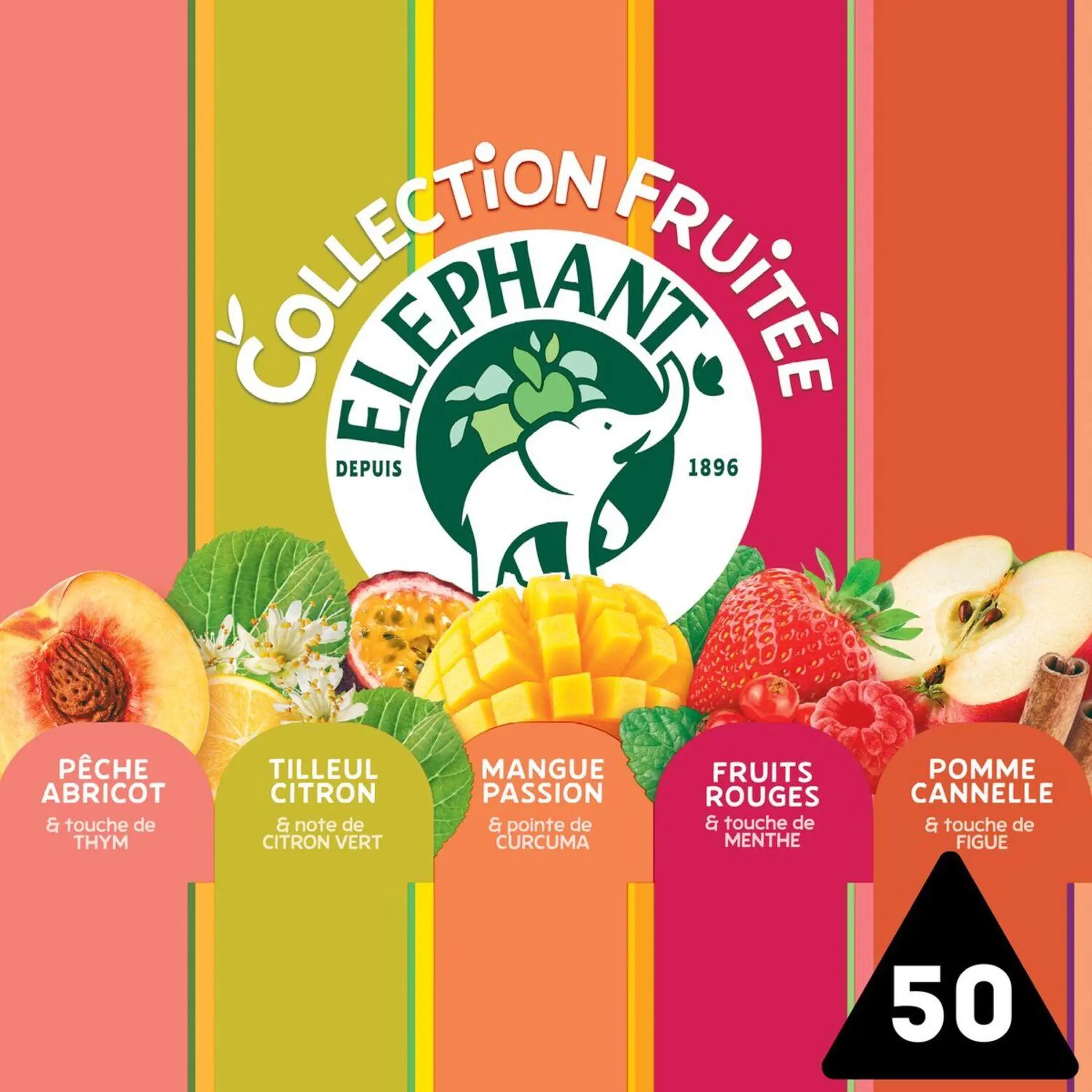 ELEPHANT Coffret découverte d'infusions fruitées