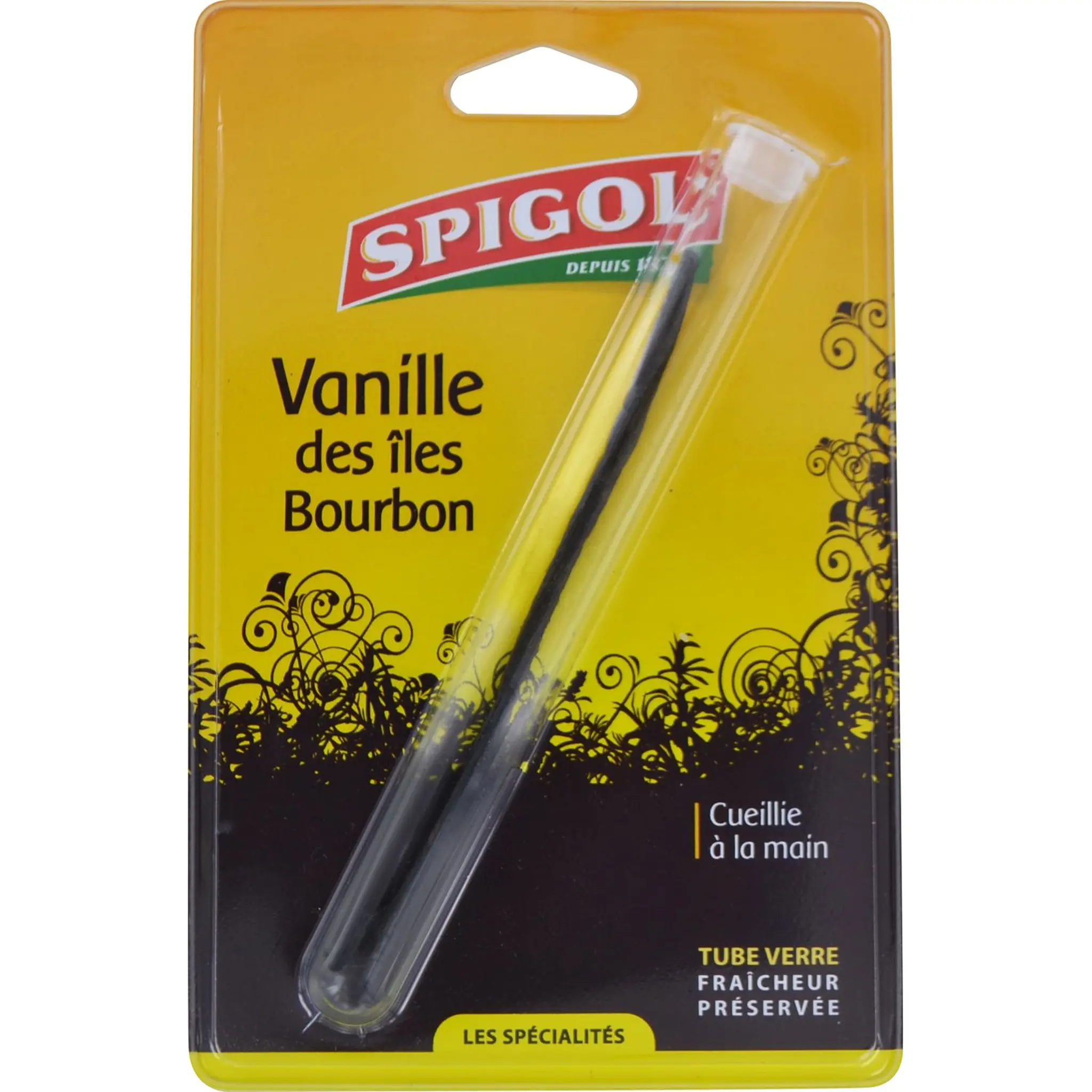 SPIGOL Vanille des îles bourbon