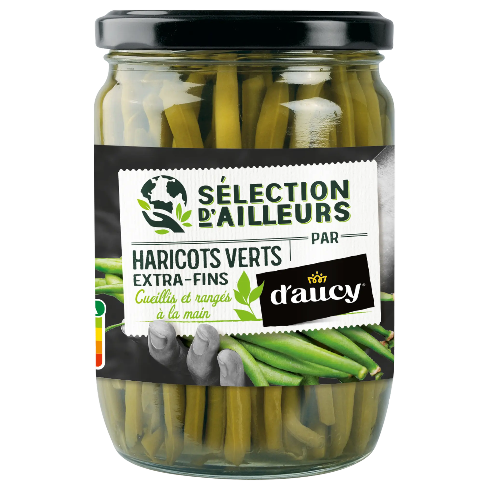 D'AUCY Haricots verts extra fins cueillis et rangés main en bocal