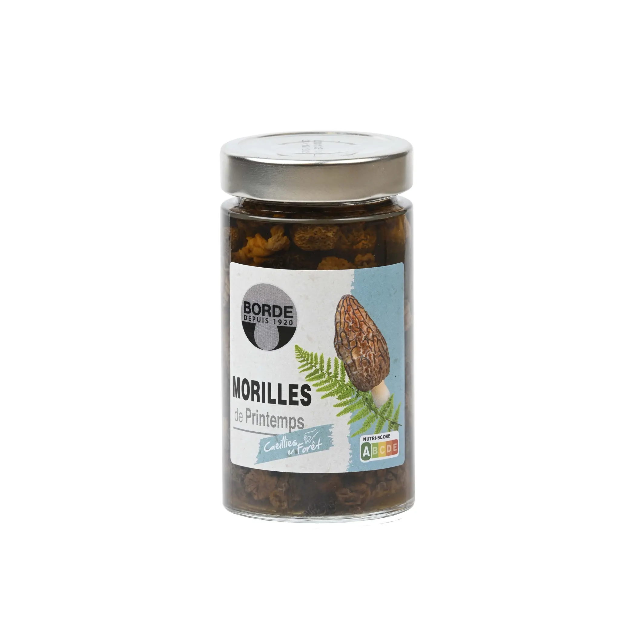 BORDE Morilles