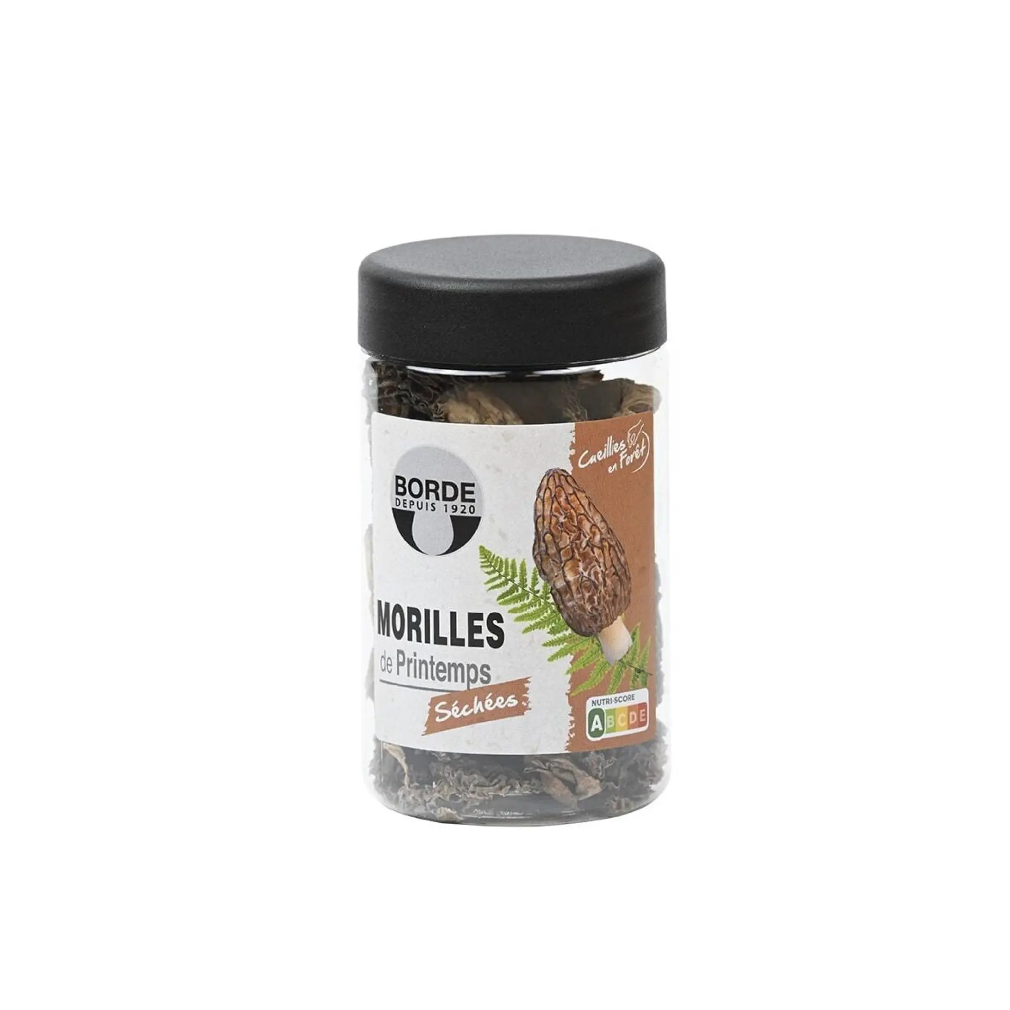 BORDE Morilles sauvages séchées