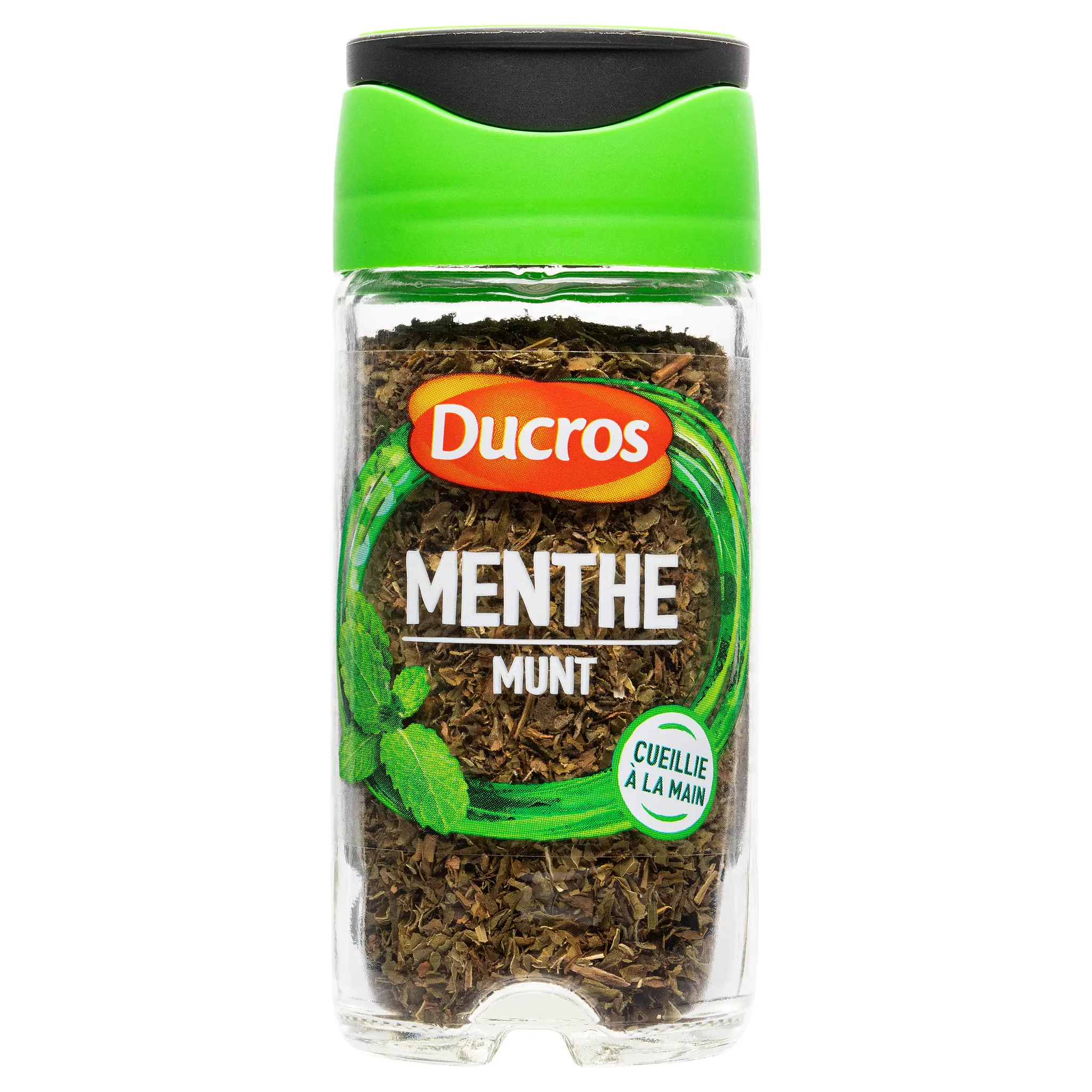 DUCROS Menthe
