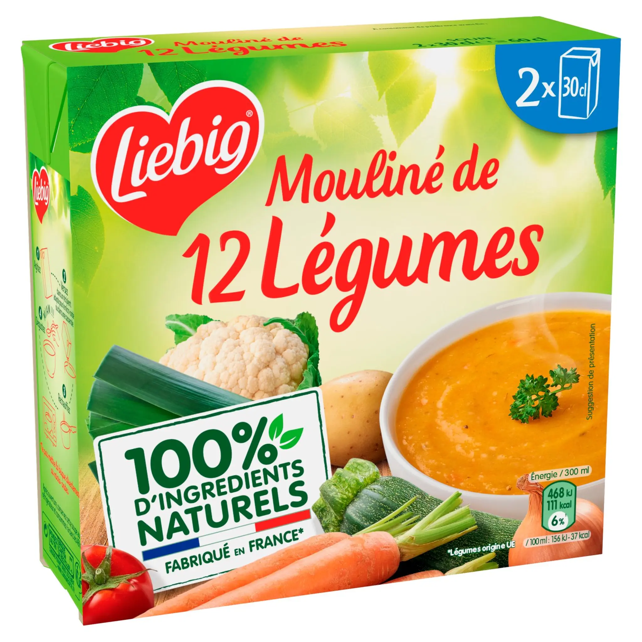 LIEBIG Soupe moulinée de 12 légumes en brique
