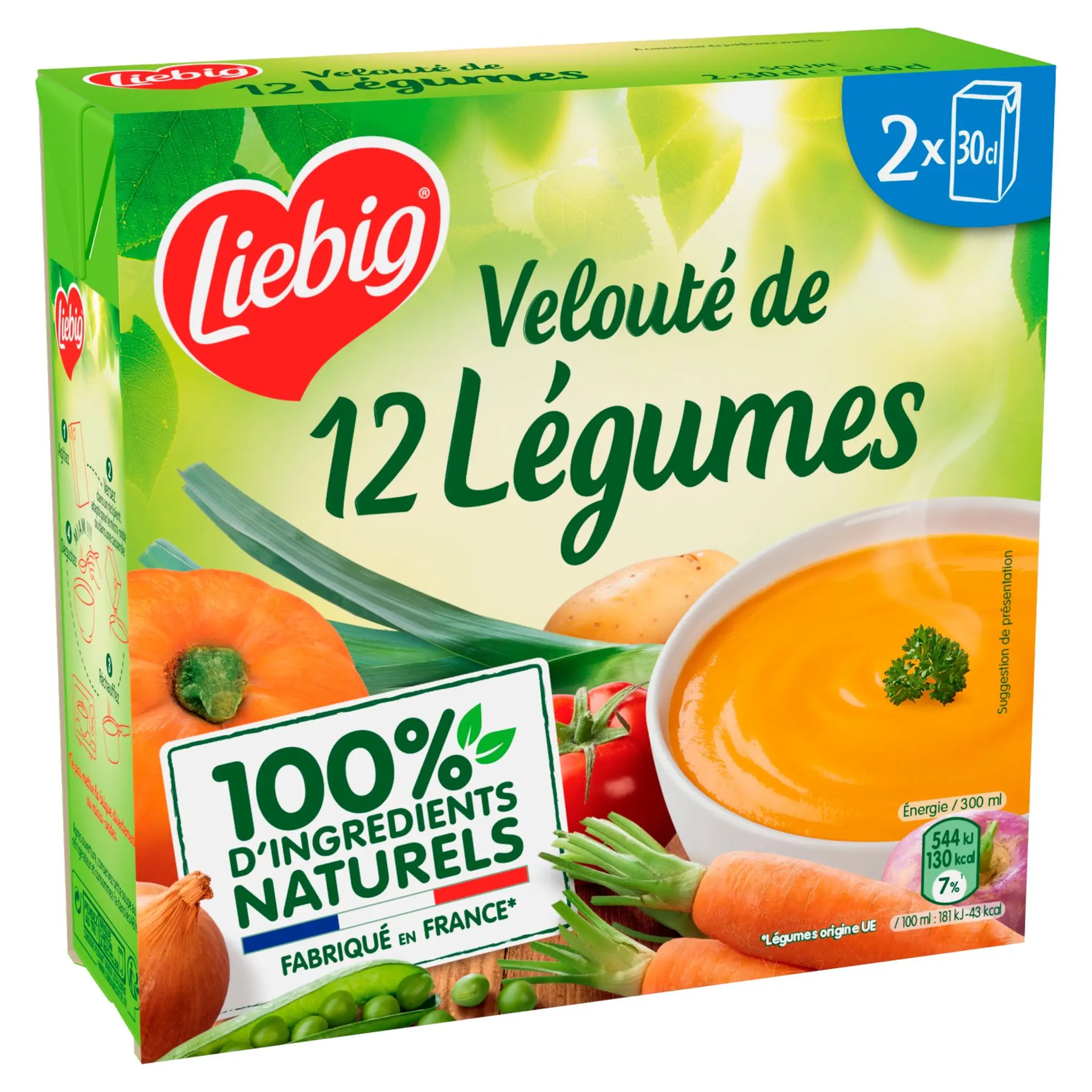 LIEBIG Soupe veloutée de 12 légumes en brique