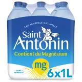 SAINT ANTONIN Eau minérale naturelle plate