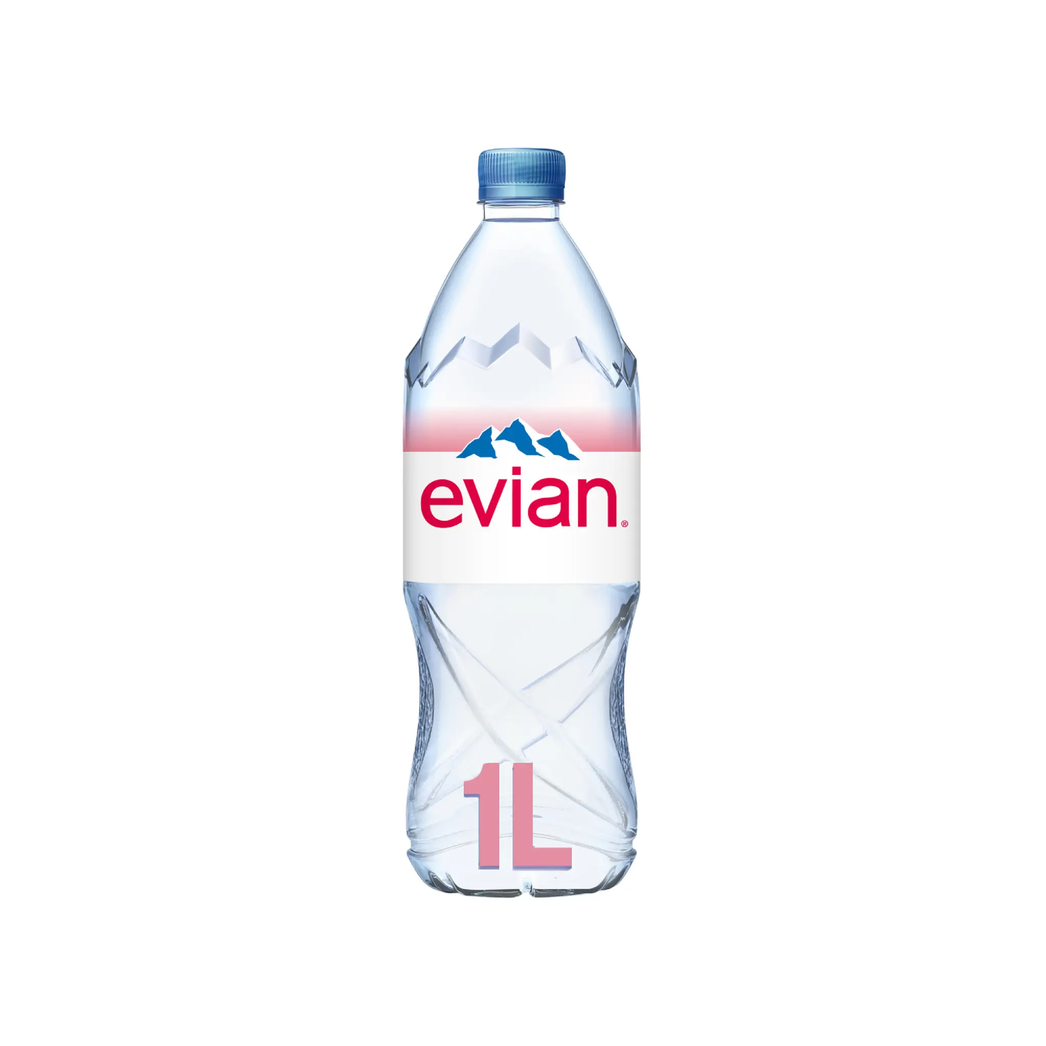 EVIAN Eau minérale naturelle plate 1l