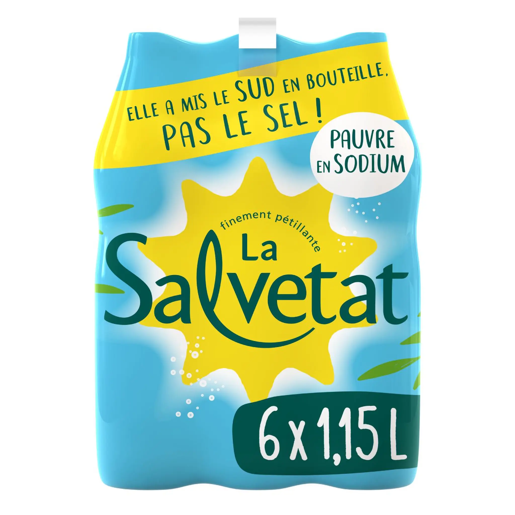 SALVETAT Eau gazeuse minérale naturelle pauvre en sodium