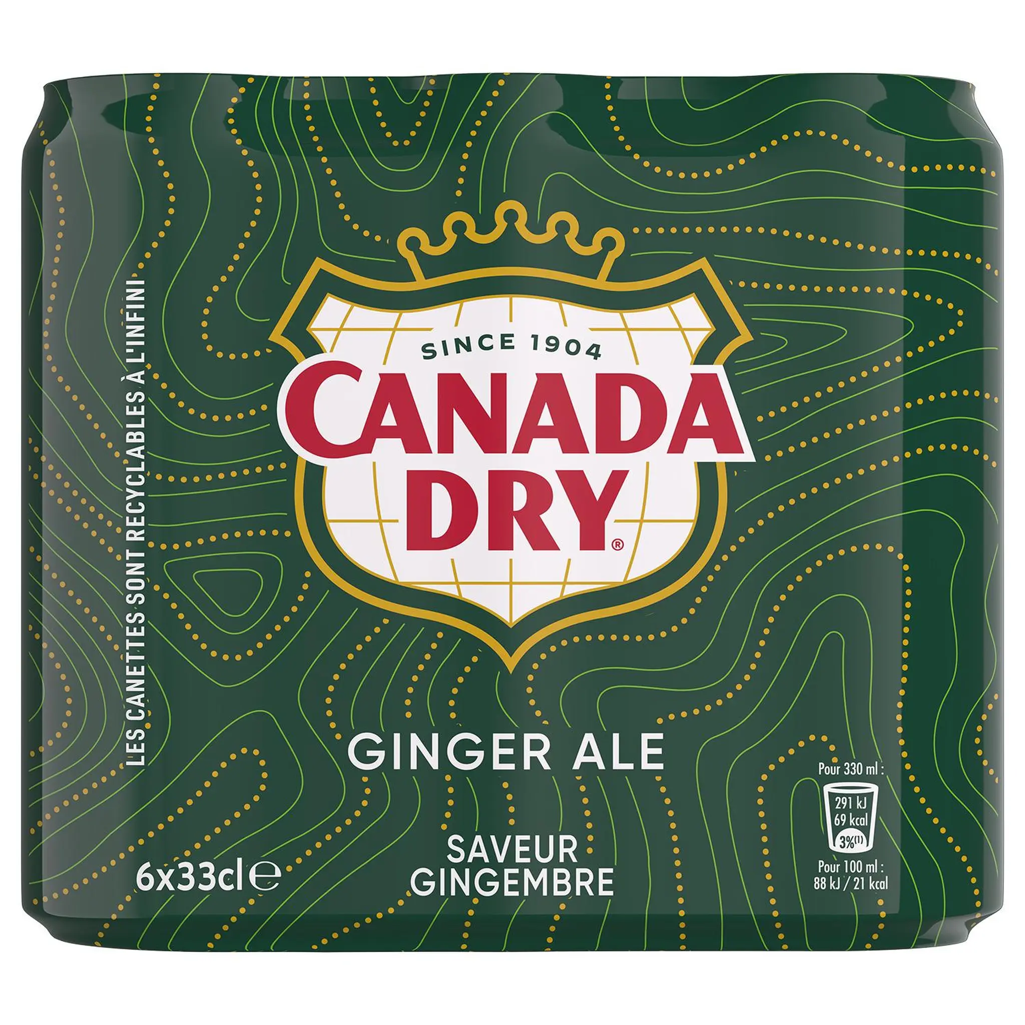 CANADA DRY Boisson gazeuse rafraîchissante saveur gingembre boîtes