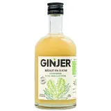 GINJER Boisson concentrée bio gingembre aloe vera & citron sans alcool