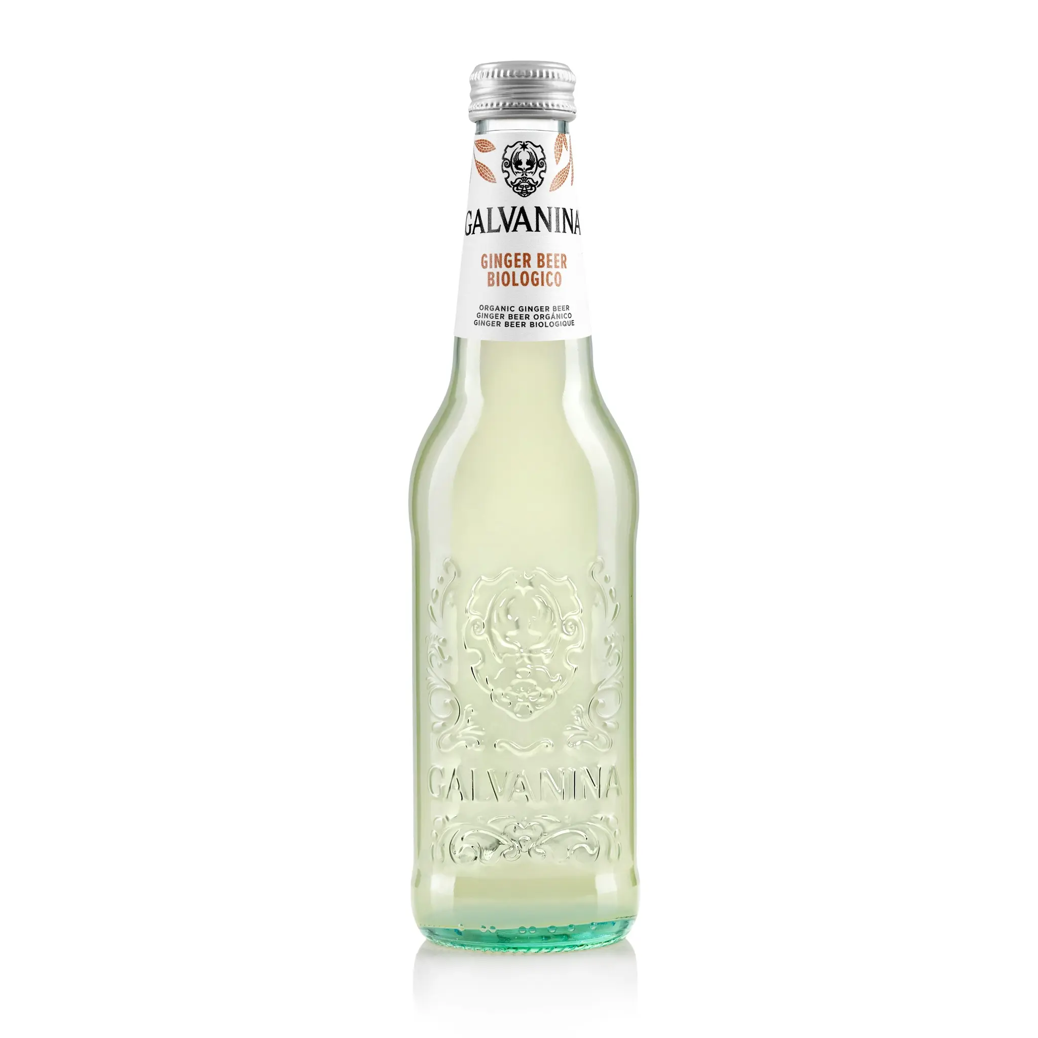 GALVANINA Boisson gazeuse Ginger Beer bio