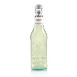 GALVANINA Boisson gazeuse Ginger Beer bio