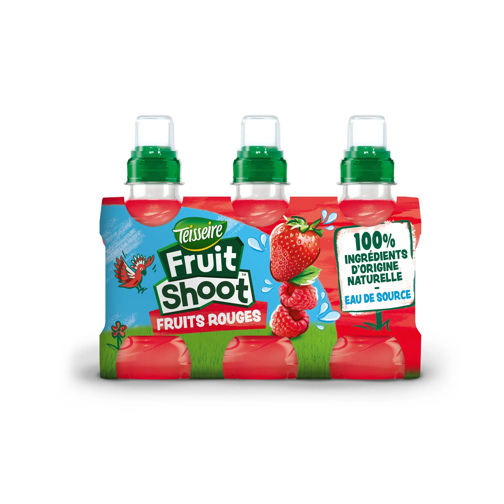 TEISSEIRE Boisson fruit shoot au jus de fruits rouges