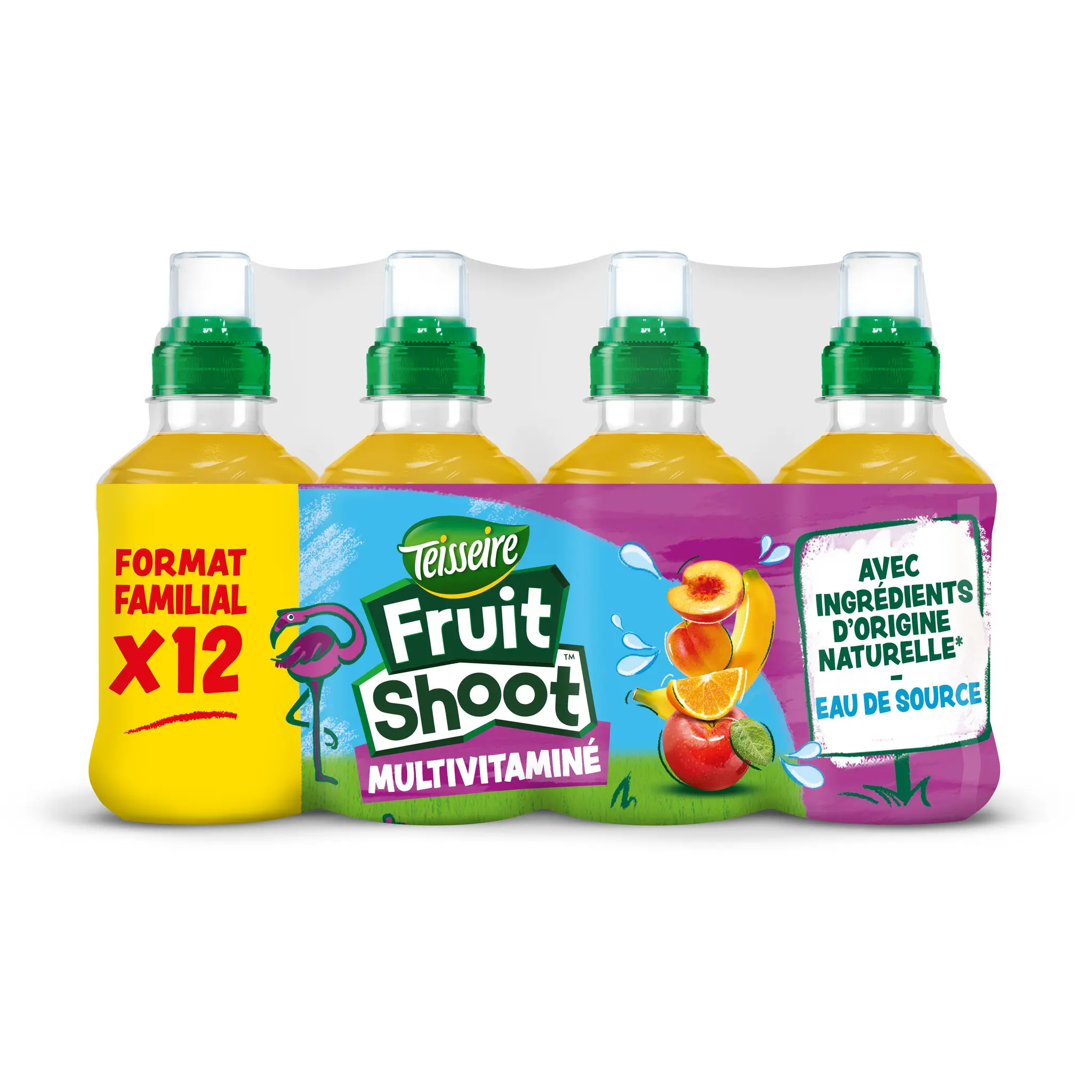 TEISSEIRE Boisson Fruit shoot au jus de fruits multivitaminé bouteilles