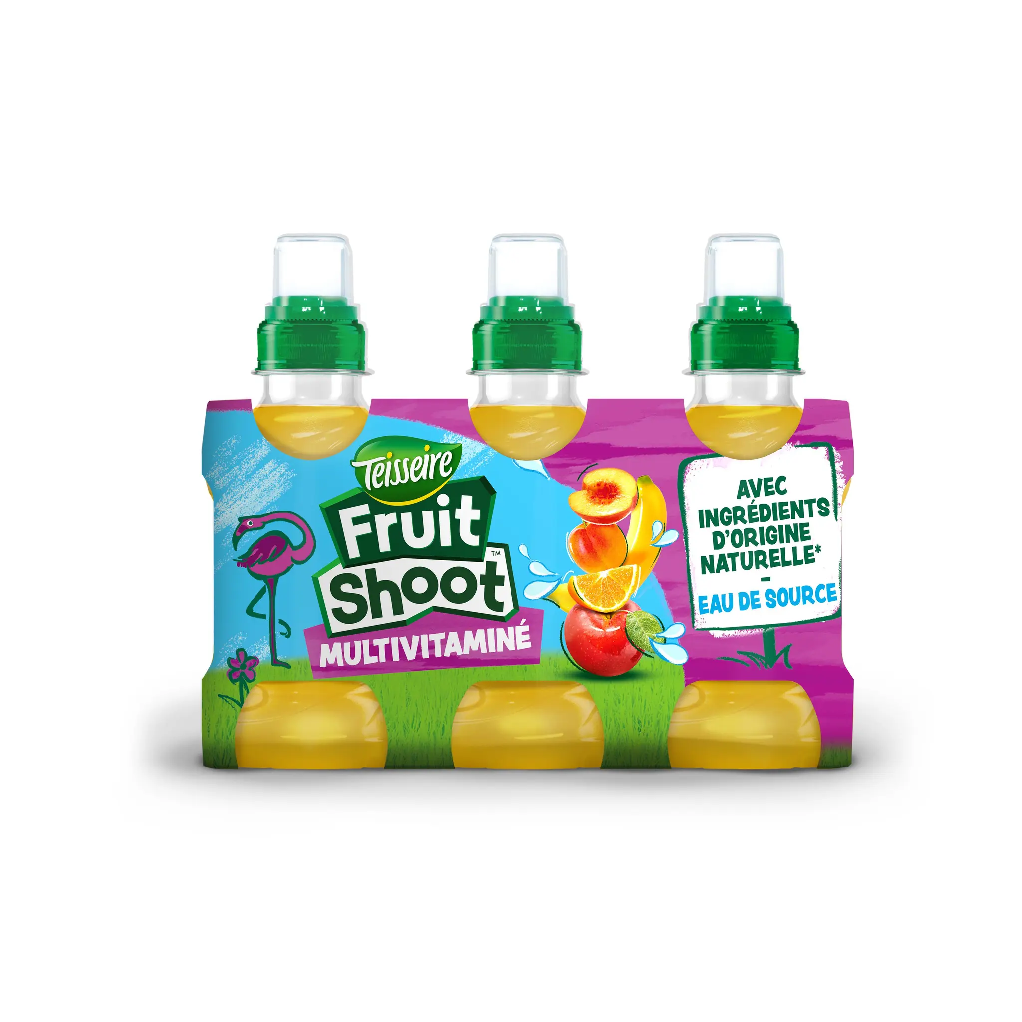 TEISSEIRE Boisson Fruit shoot multivitaminé au jus de fruits bouteilles