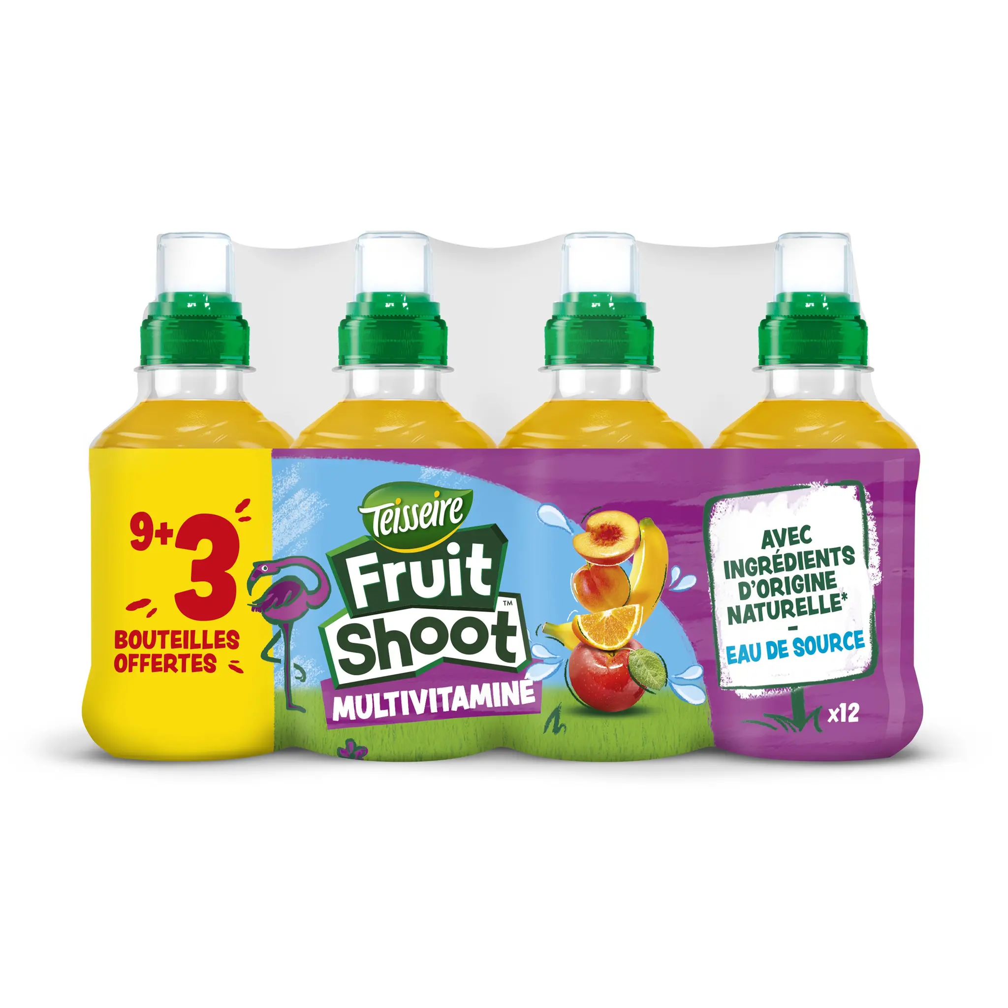TEISSEIRE Boisson Fruit shoot au jus de fruits multivitaminé bouteilles
