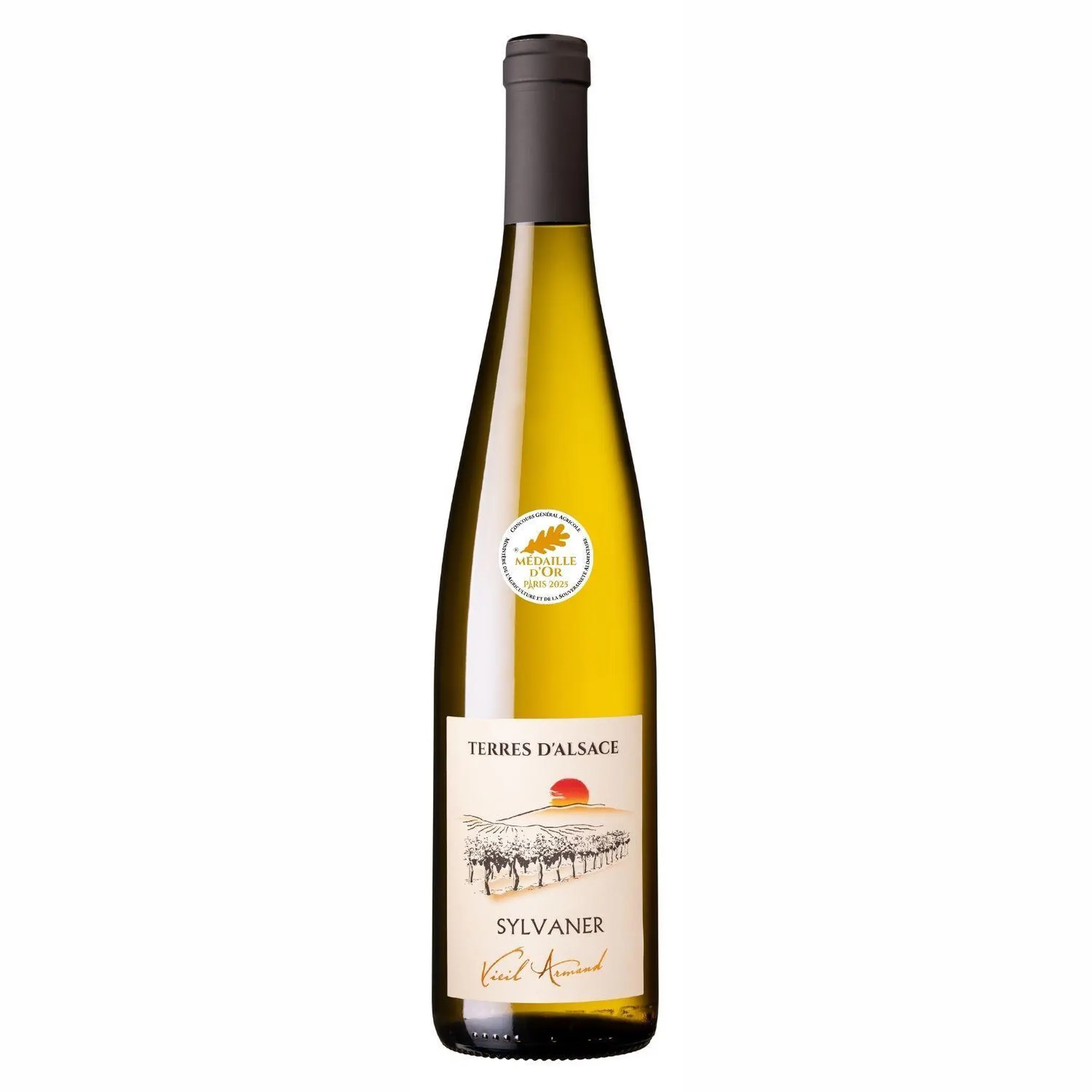 AOC Alsace Sylvaner Terre d'Alsace LA CAVE DU VIEIL ARMAND sec blanc
