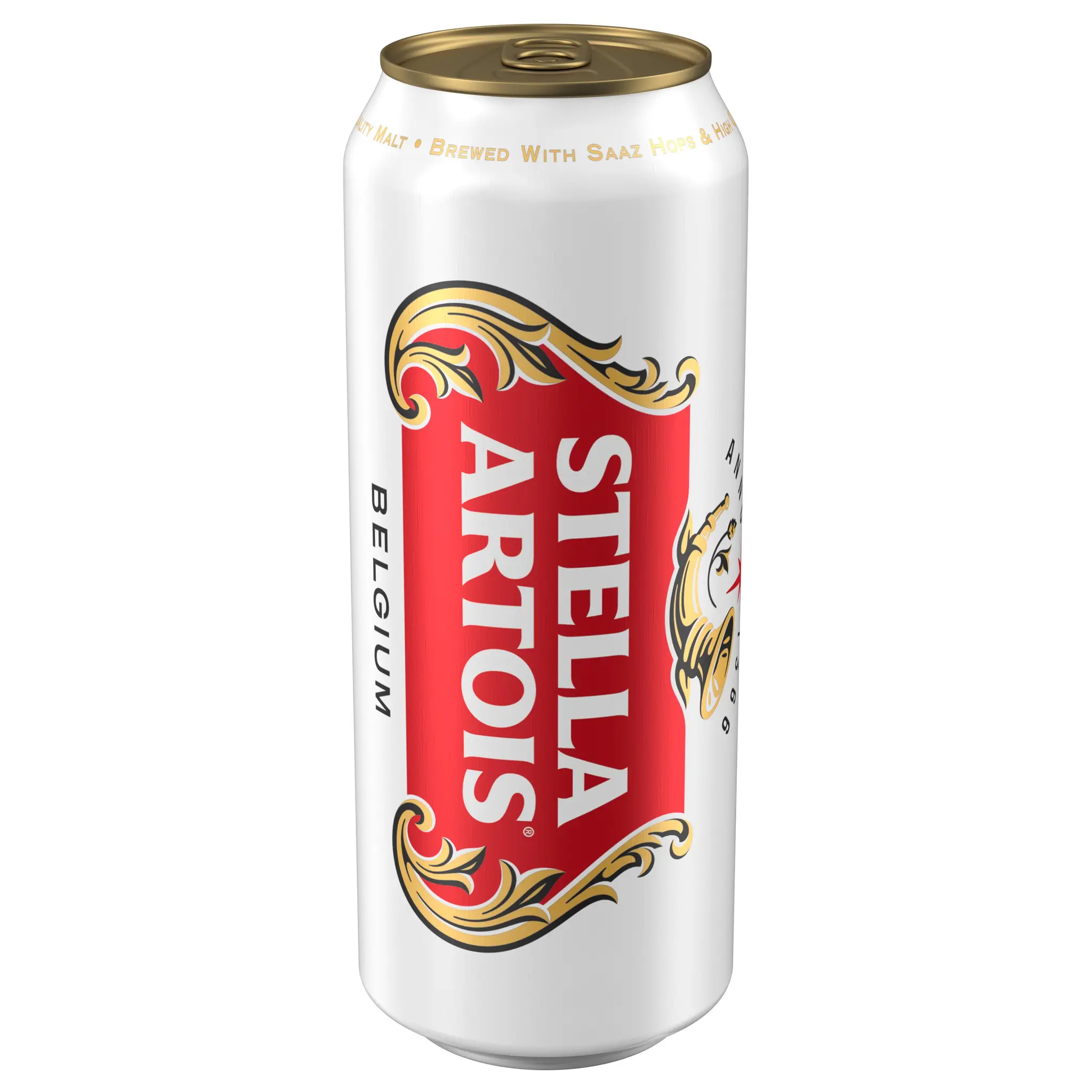 STELLA ARTOIS Bière blonde 5% boîte