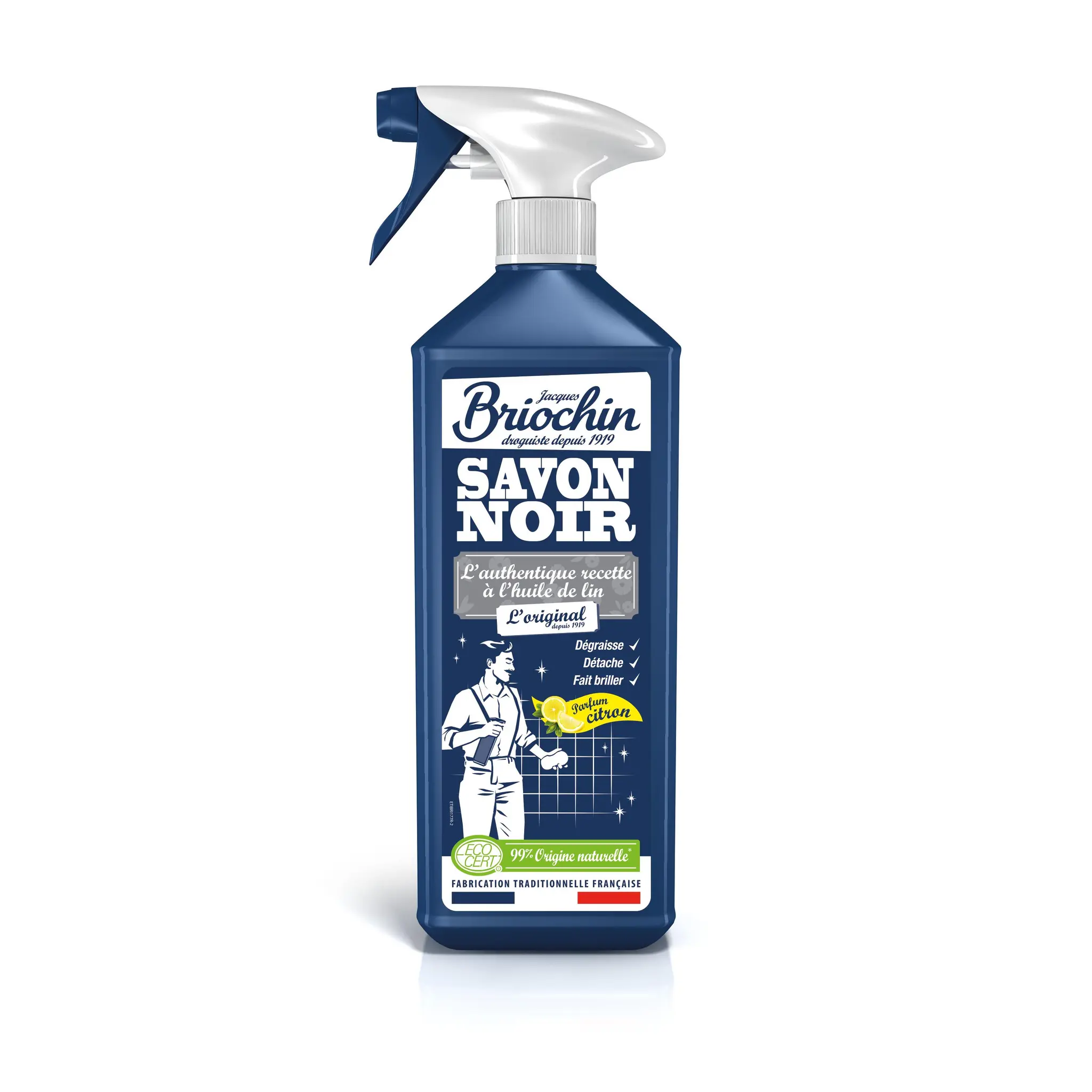 BRIOCHIN Spray savon noir écologique citron