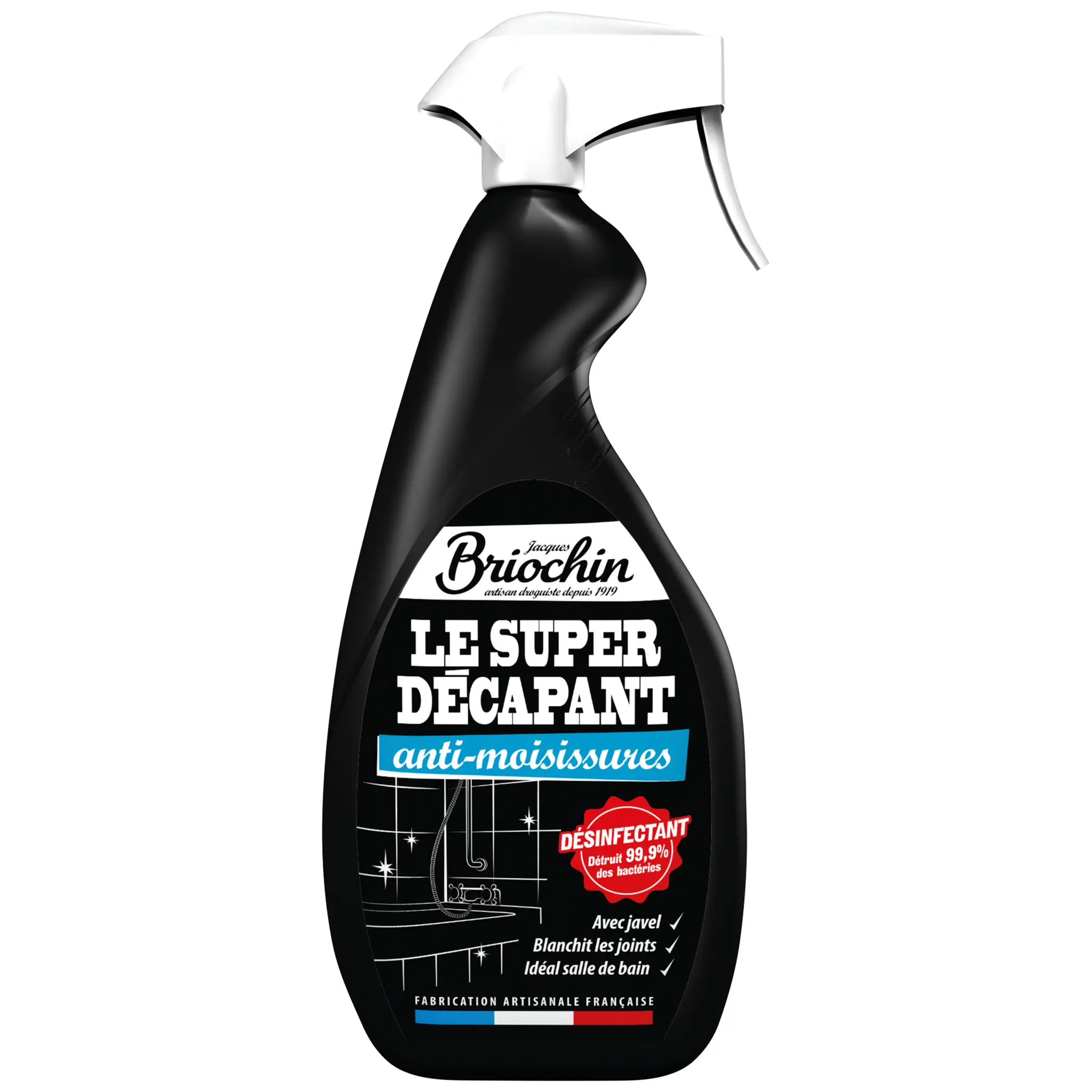 BRIOCHIN Spray décapant anti-moisissures avec javel