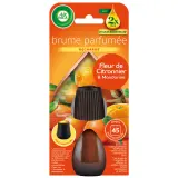 AIR WICK Essential Mist recharge diffuseur automatique citronnier et mandarinier