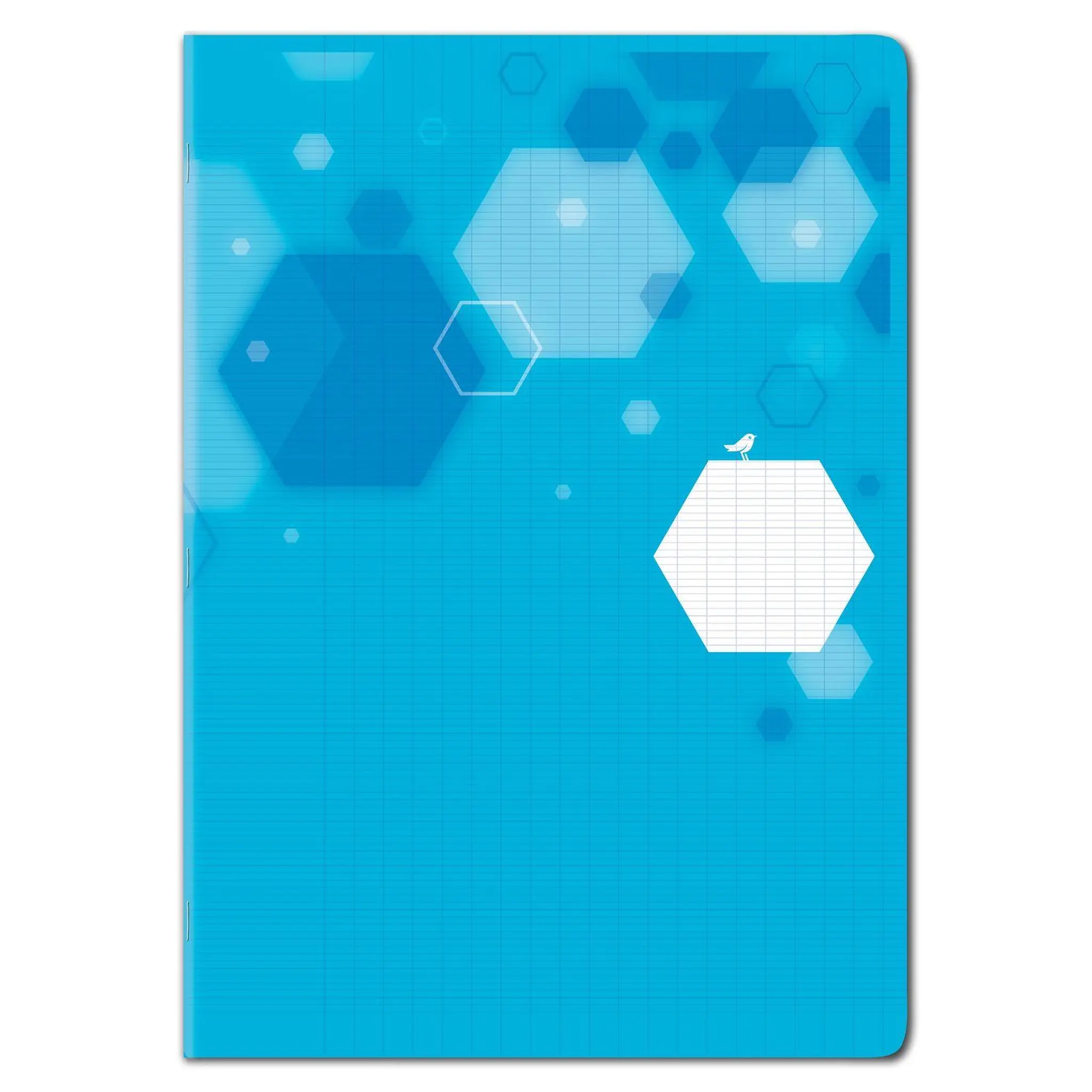 AUCHAN Cahier polypro 24x32cm 96 pages grands carreaux Seyes Bleu