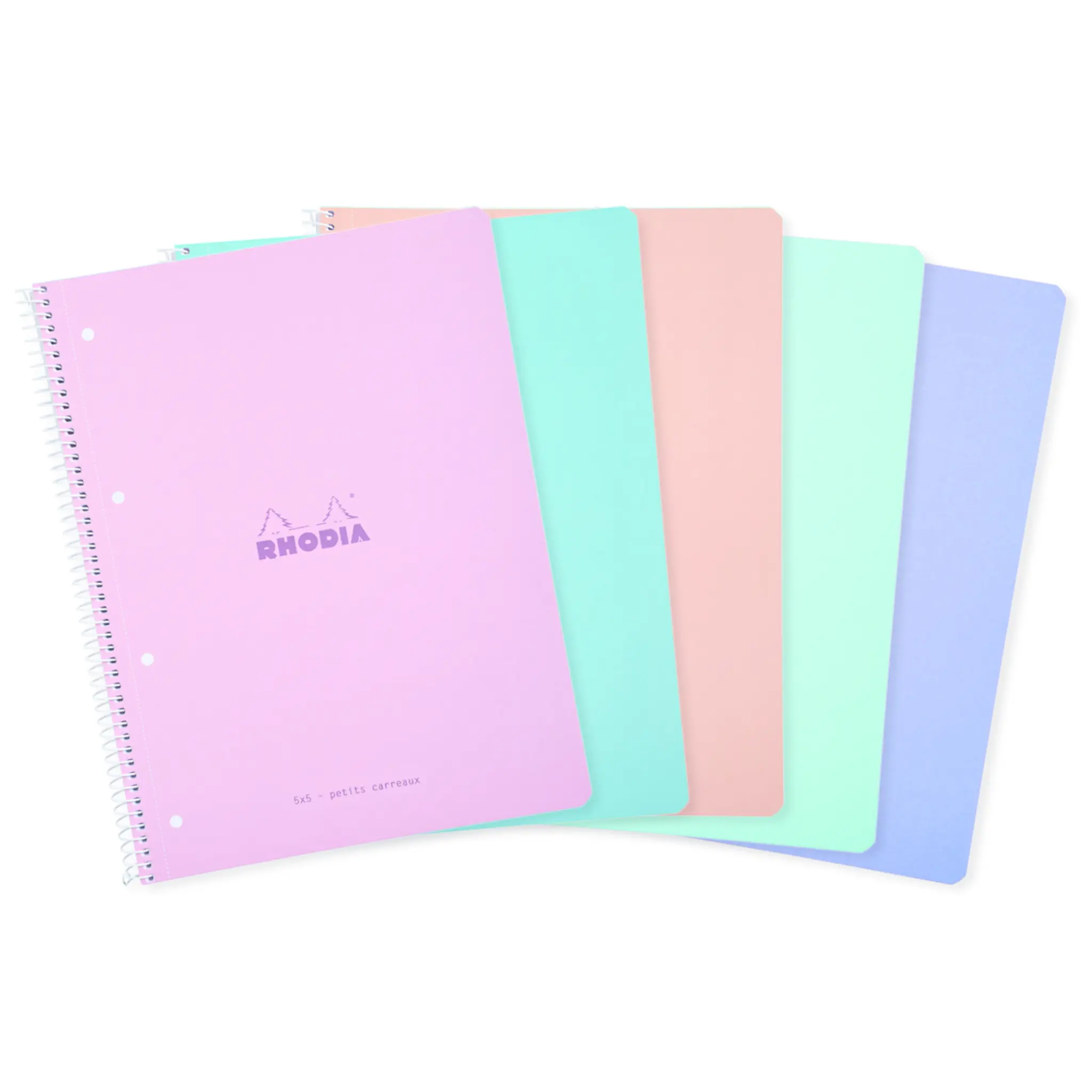 RHODIA Cahier Microperforée - 22,3 x 29,5 cm - 160 pages - Petits carreaux