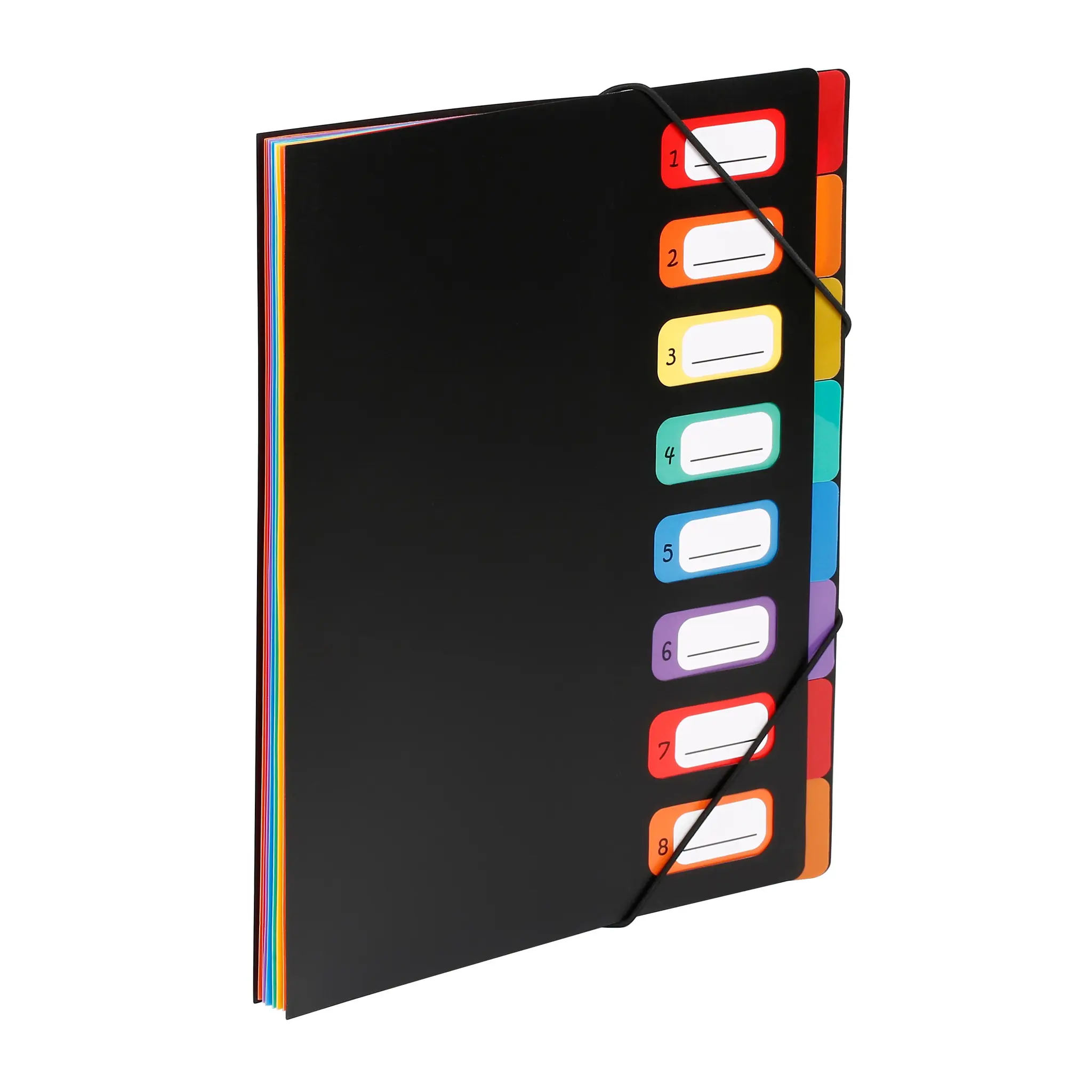 VIQUEL Trieur Rainbow Classeur à Soufflets 8 positions