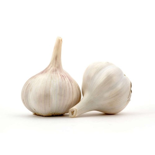 Ail Blanc Bio 3 têtes