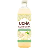Ucha kombucha gingembre Bio 75cl