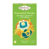 Shoti Maa Essential herbs Infusion Bio feuille de bouleau,  menthe verte & pissenlit x16