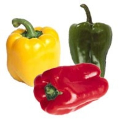 Poivron tricolore 500g - Catégorie 1