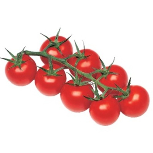 Savéol Tomate Cocktail Grappe Catégorie 1 -500g