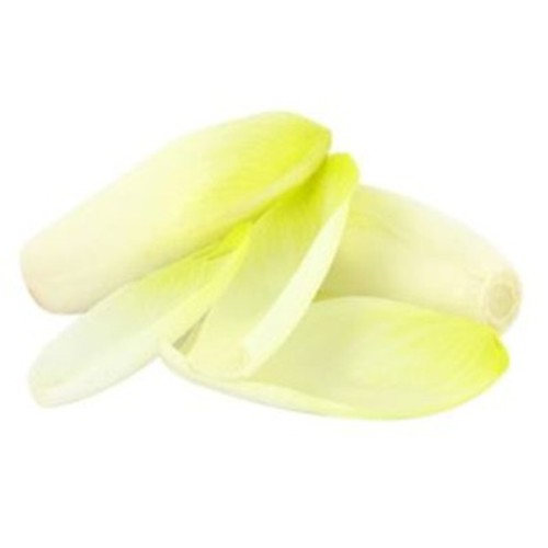 Monoprix Endive x5