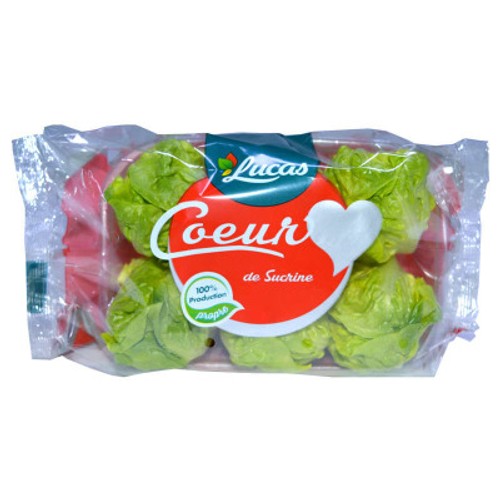 Coeur de Sucrine x6