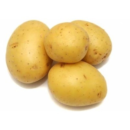 Pomme de Terre Ile de Batz Bio 1,5kg