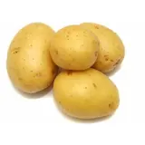Pomme de Terre Ile de Batz Bio 1,5kg