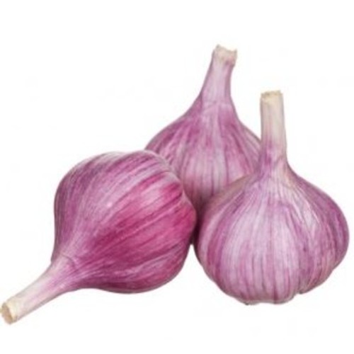 Ail Blanc Catégorie 1 x3