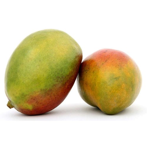 Mangue Kent x2
