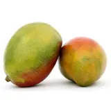 Mangue Kent x2