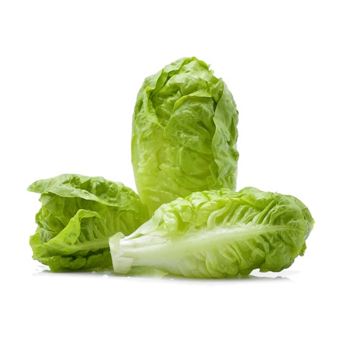 Salade Cœur de Romaine x2