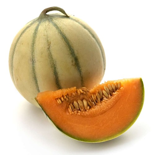 Natoora Melon Du Quercy x1