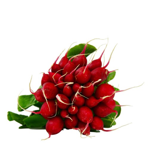 Natoora Radis Rouge en botte x1