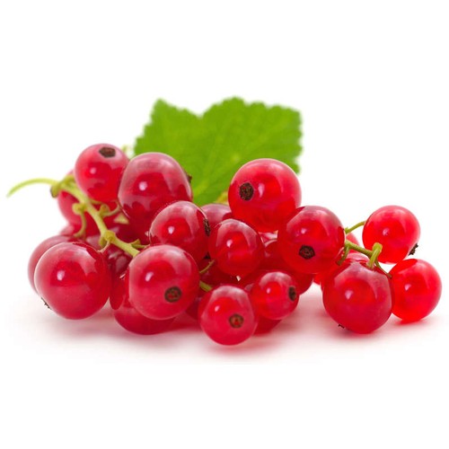 Groseille Rouge 125g